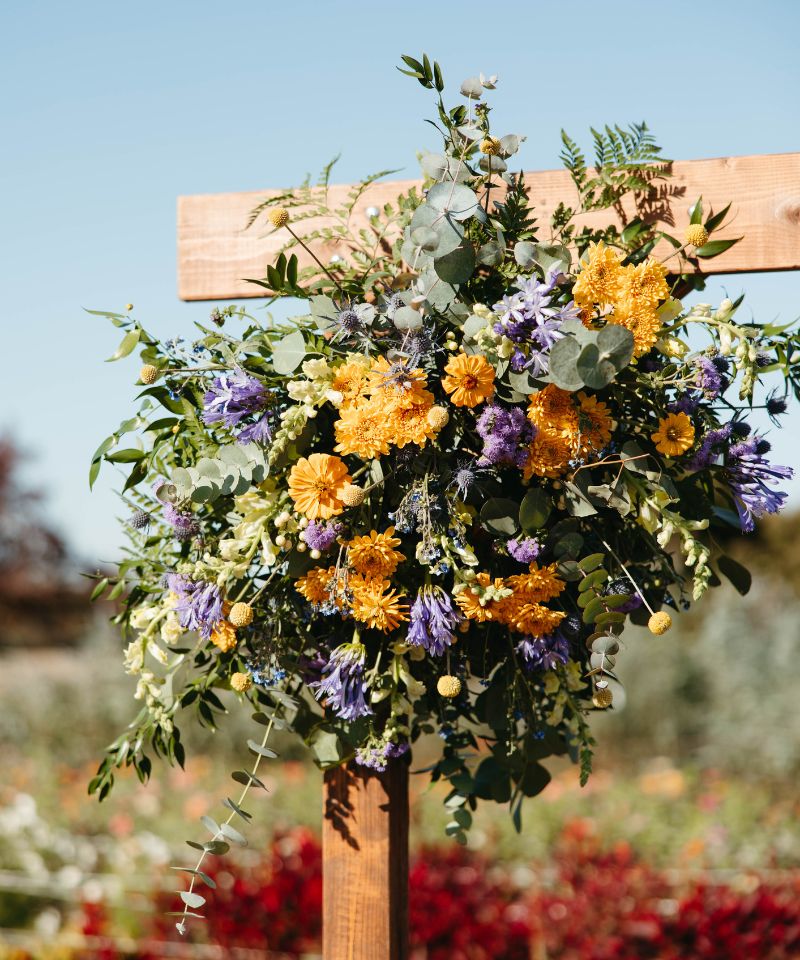 wedding ceremony rectangle arch with yellow and blue flowers