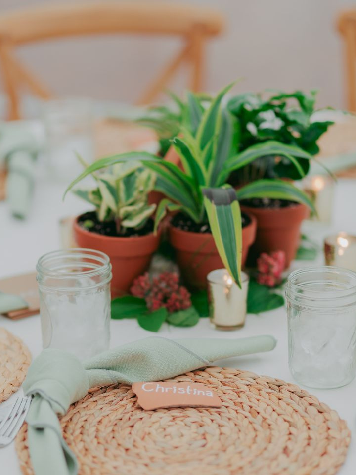 Potted Plants as centerpiece