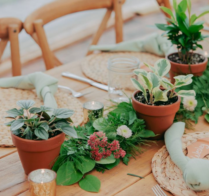 A Potted Plant Dream Wedding: Stephanie + Elliot