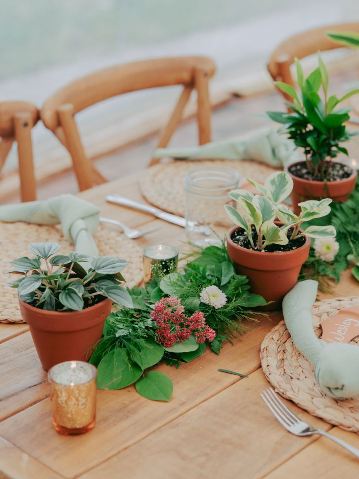 Potted Plants as runner on harvest farm table