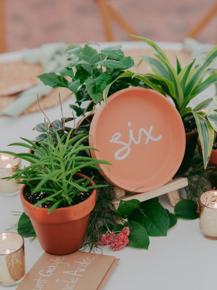 Table number display with potted plants
