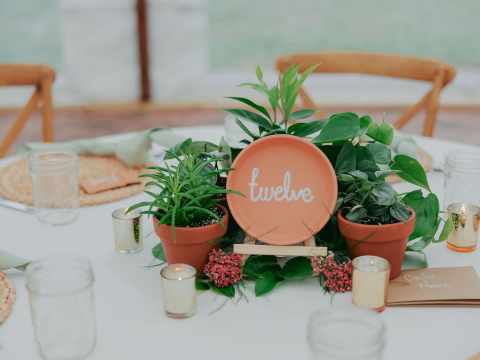 Table number display with potted plants