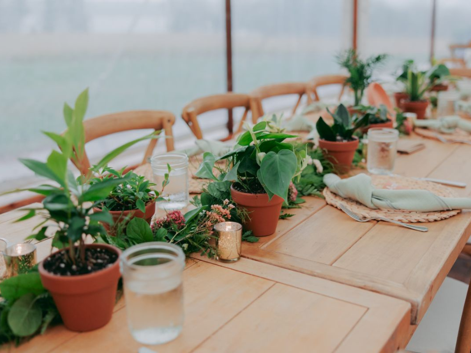 Table Runner with potted plants