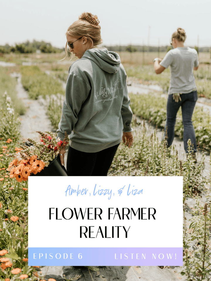 Flower Farmer Reality, Episode Six, Title Image