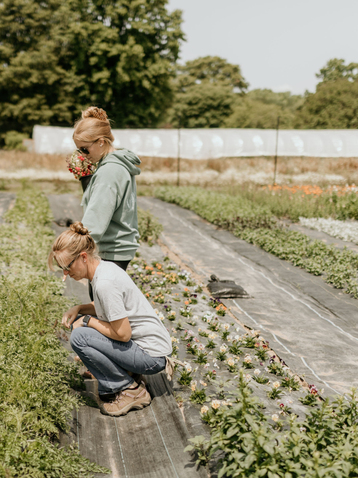 flowergardening