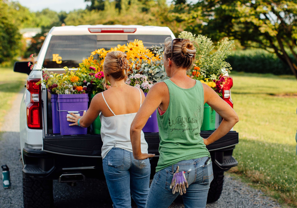 From Field to Photo: Getting from Point A to Point B with Flowers