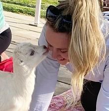 Baby goat nuzzles woman at a goat yoga session.