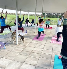 Group of women attend goat yoga under a tent on a patio at Wildly Native Flower Farm.