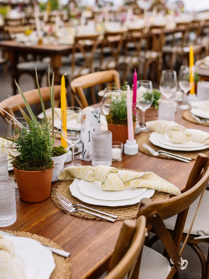 Wooden table with colored taper candles and potted arrangements