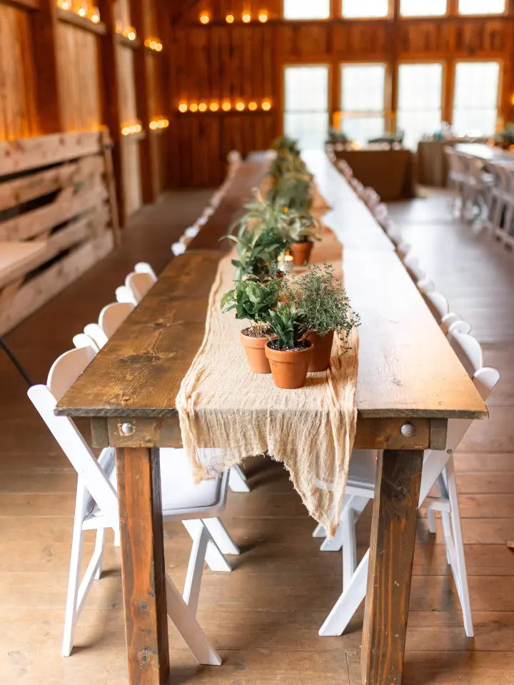 Farm table setup with white padded folding chairs and potted platns as a table runner