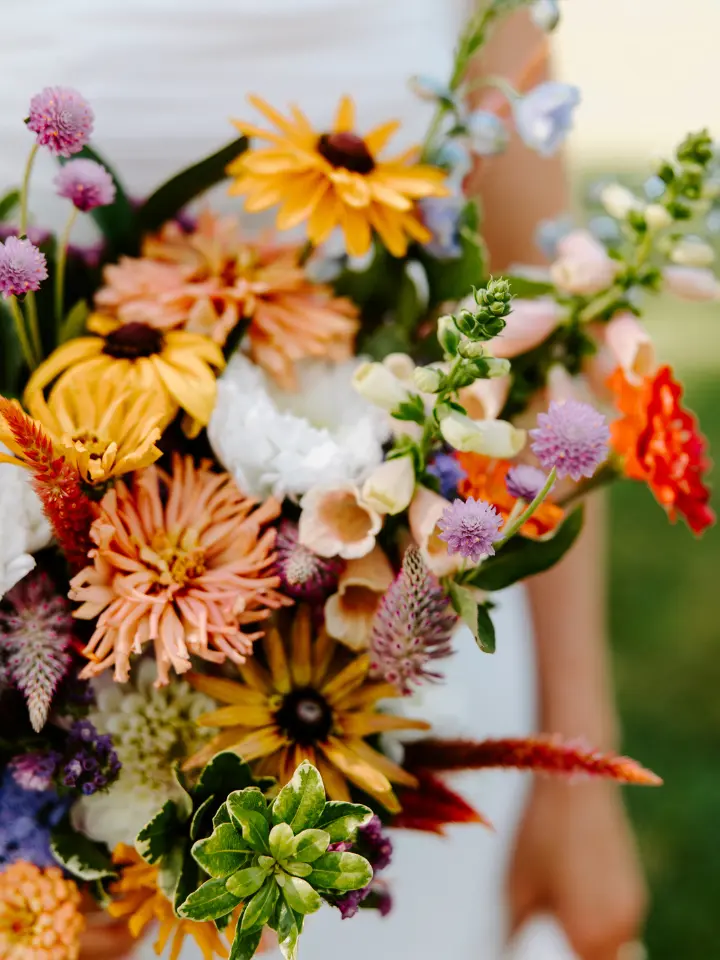 Up close view of summer bright and wild florals by Wildly Native Flower Farm