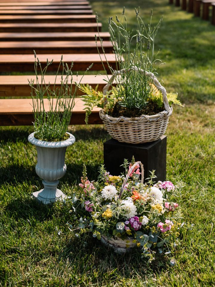 Potted plants and basket arrangements of fresh florals.