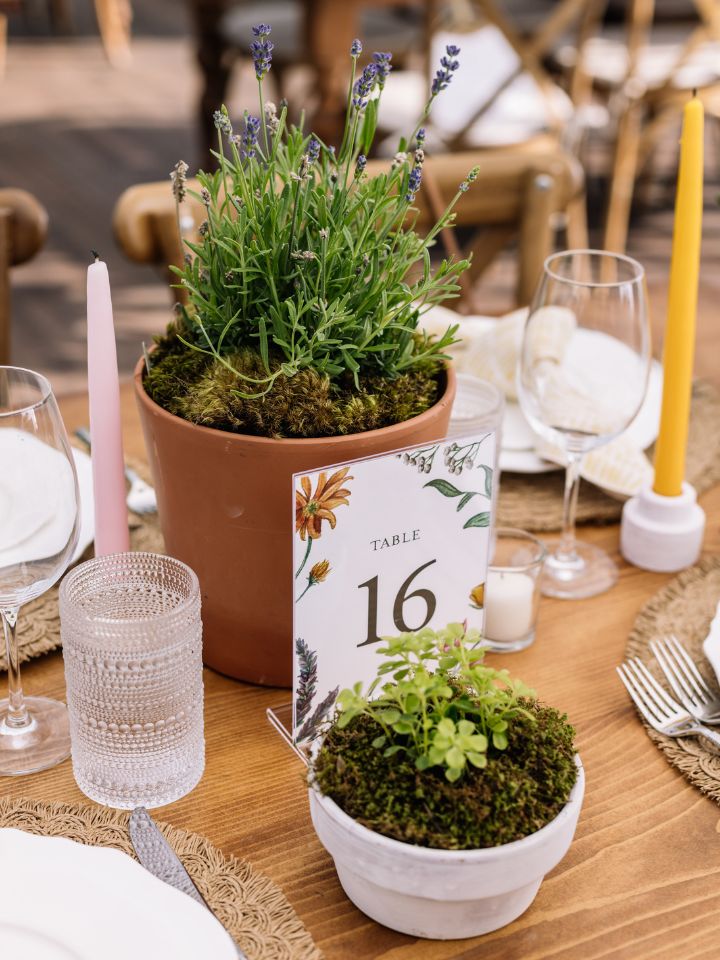 Potted plants in varying sizes on a wedding reception guest table.