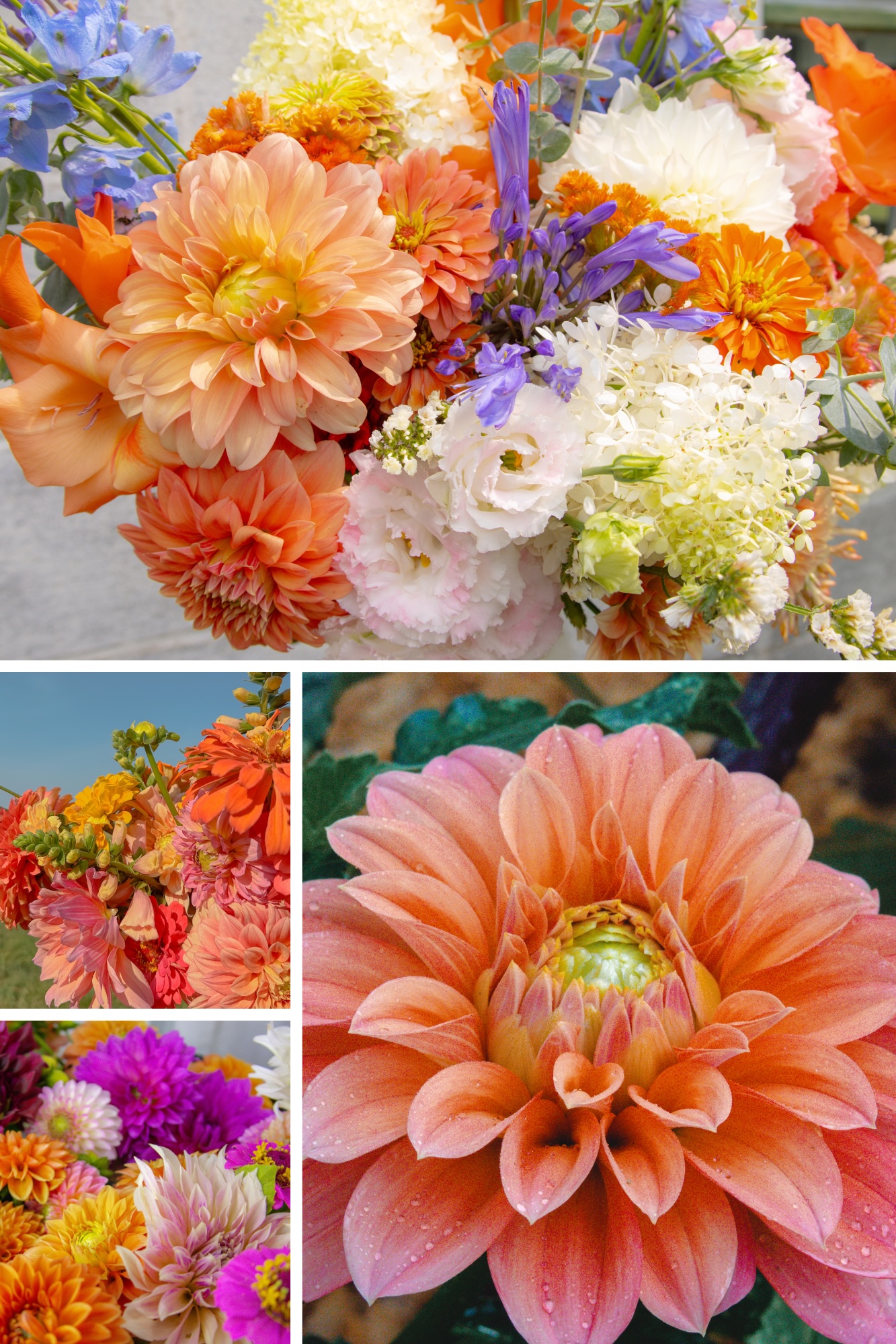 A collage of flower images from Wildly Native Flower Farm 