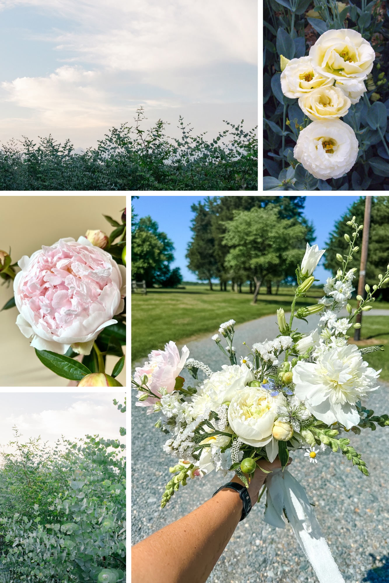 Collage of simple florals from Wildly Native Flower Farm