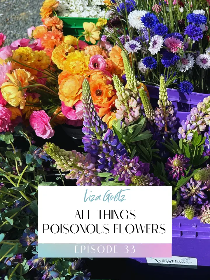 Title Image for Episode 33: All Things Poisonous Flowers