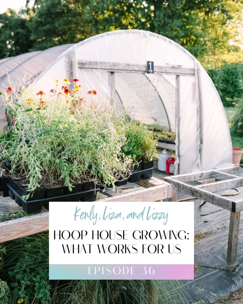 Wildly Native Flower Farm The Flower Files Podcast Title Image Episode 36 for Hoop Houses