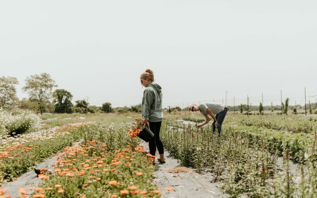 Three Tips to Becoming a Flower Farmer