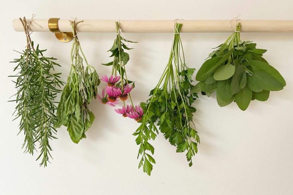 Herbs and Flowers hang from an indoor drying rod.