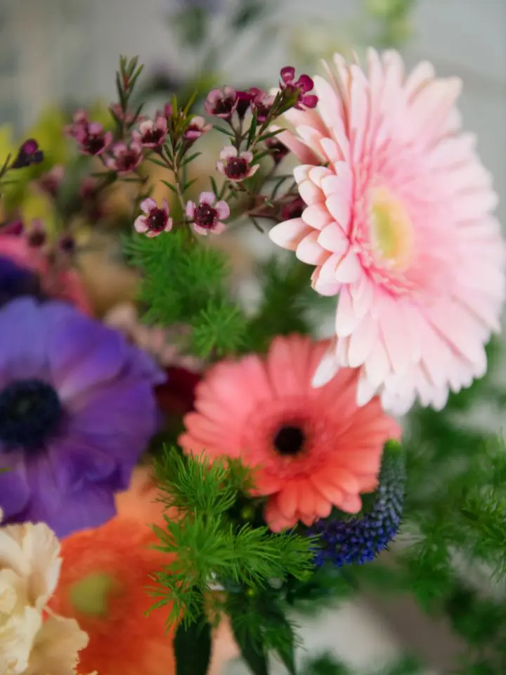 Close up of pink, coral, and purple flowers in bridal bouquet