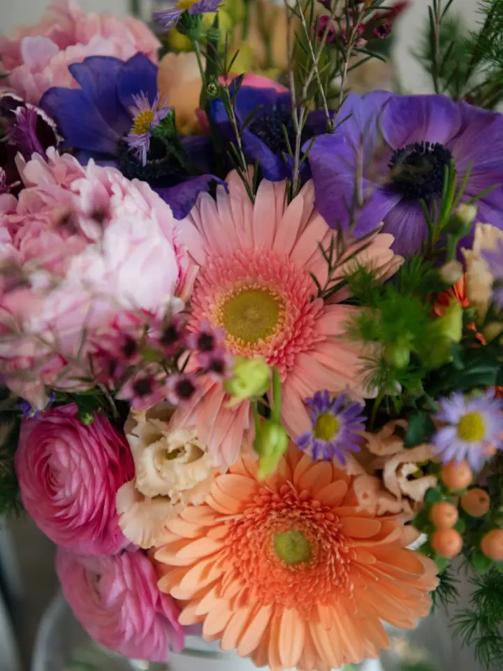 Close up of pink, coral, and purple flowers in bridal bouquet including peonies