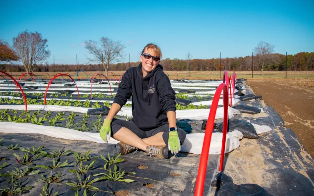 Catalogs and Seed Picking