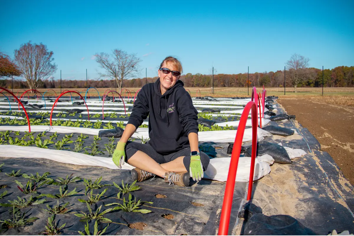 Seed Selection for Flower Farmers The Flower Files